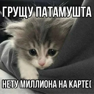 😭 emoji лол кек чебурек ➡️ @Ctikerubot Telegram sticker 11 of 86