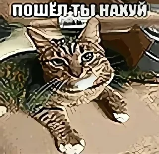 Sticker from щит пост, тт mkillst