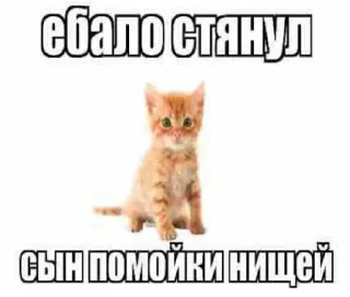 🤍 emoji ### @shlrona Telegram sticker 3 of 85