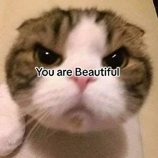 😒 emoji Шоха'с пак Telegram sticker 8 of 38