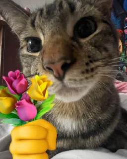 😜 emoji Шоха'с пак Telegram sticker 10 of 38