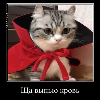 Sticker from Камар @Kumarudrakyla