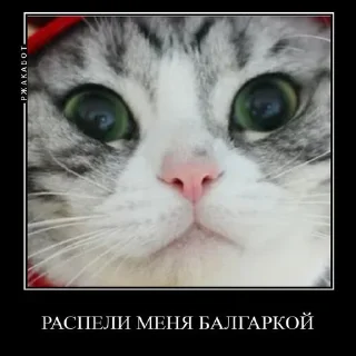 Sticker from Камар @Kumarudrakyla