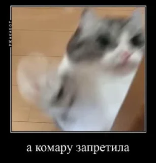 😜 emoji Камар🥶 Telegram sticker 24 of 52