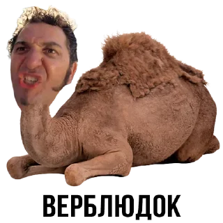 🐪 emoji Больше стиков тут: @stikery4 Telegram sticker 11 of 37