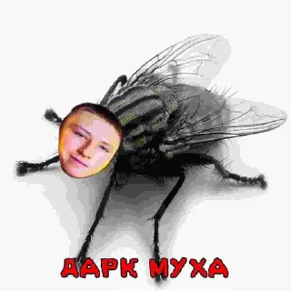 😁 emoji 🦆ДАРК ДАК🦆 ➡️ @Ctikerubot Telegram sticker 12 of 34
