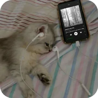 🐱 emoji котики- наше всё Telegram sticker 2 of 64