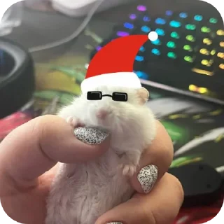 ✋ emoji котики- наше всё Telegram sticker 15 of 64