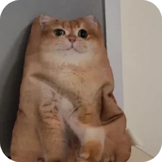 Sticker from Просто ржачные коты
