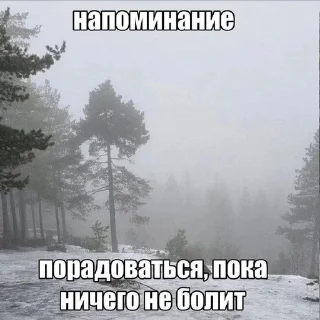 Sticker from щитпосты пóйзона