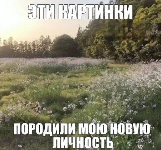 Sticker from щитпосты пóйзона