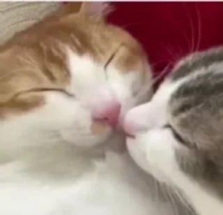 😘 emoji Анонимный чат: @anonimnyi_chatbot 💓 Telegram sticker 10 of 50