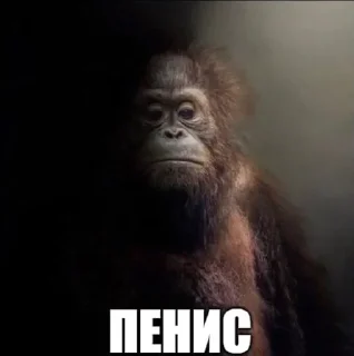 🤗 emoji Блядислав @Zorawrx Telegram sticker 19 of 120