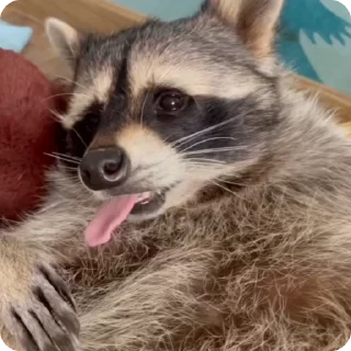 🥱 emoji Больше стиков тут: @stikery4 Telegram sticker 1 of 17