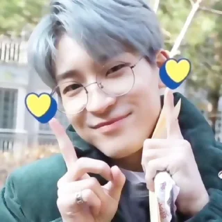 🪷 emoji ⌕ ▸ wonwoo ࣪ ‌fr.  @expressmoonst ᵎ ˖࣪ Telegram sticker 23 of 40
