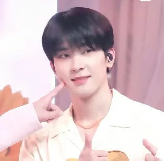 🪷 emoji ⌕ ▸ wonwoo ࣪ ‌fr.  @expressmoonst ᵎ ˖࣪ Telegram sticker 10 of 40