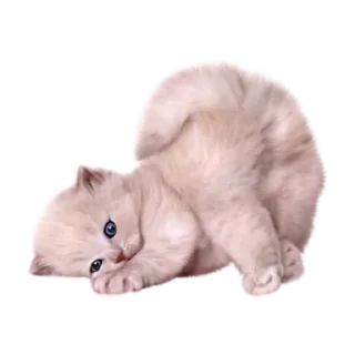 🍑 emoji Favorite stickers Telegram sticker 3 of 26