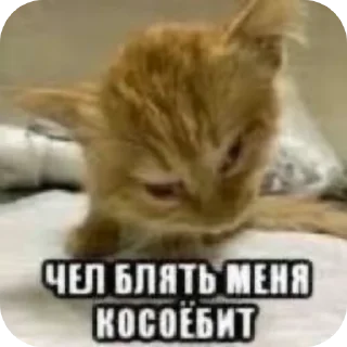 👍 emoji Создано в @sozdsti_bot Telegram sticker 8 of 52