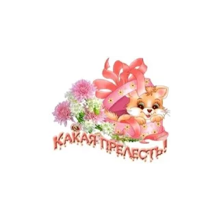 Sticker from богу стыдно за меня