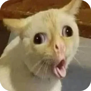 😧 emoji varfusha Telegram sticker 17 of 80