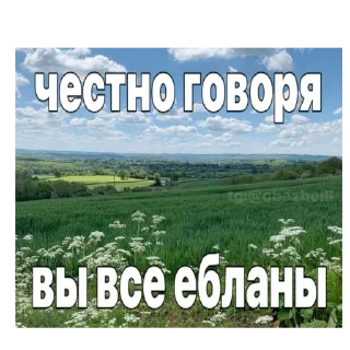Sticker from жески бро