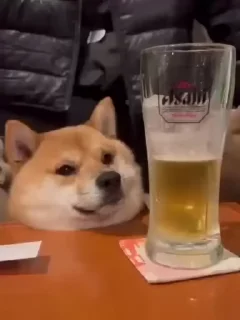 Sticker from Дети отца Алколита 🍻