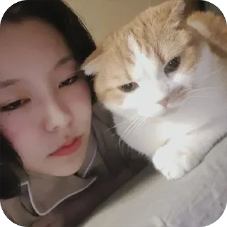 😶 emoji мемемушки Telegram sticker 24 of 55