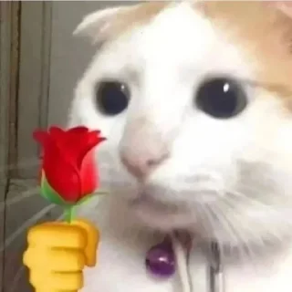 🌼 emoji i luv u Telegram sticker 15 of 36
