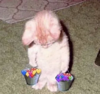 😖 emoji ты не картошка.. Telegram sticker 14 of 27
