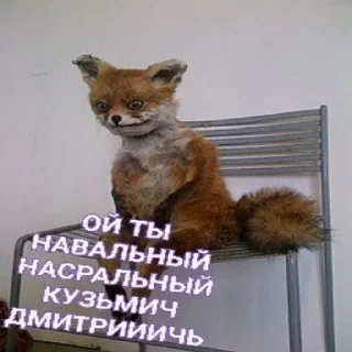 🦊 emoji ямори оомори Telegram sticker 12 of 22