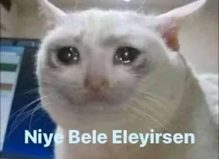 🥺 emoji @Nahid_065 @DTOUserBot Paketi 1 Telegram sticker 18 of 50