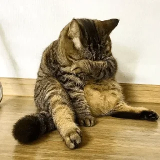 😥 emoji Стикеры для общения со мной Telegram sticker 20 of 117