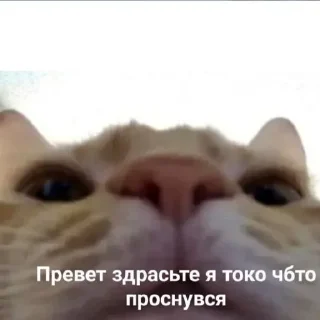 ☺️ emoji Reenaa дурында Telegram sticker 5 of 120