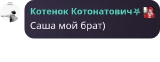 💫 emoji Чат Котоната pack by @QuotLyBot Telegram sticker 6 of 120
