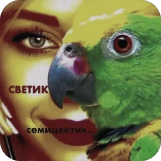 🫥 emoji бобинь 🫘 Telegram sticker 2 of 31