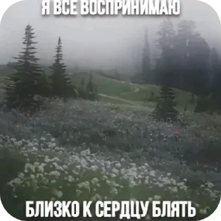 👎 emoji Гений этого стикерпака- @kissmyboyy Telegram sticker 12 of 12