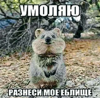 🤸 emoji Создай свои стикеры - @sozdsti_bot Telegram sticker 16 of 118