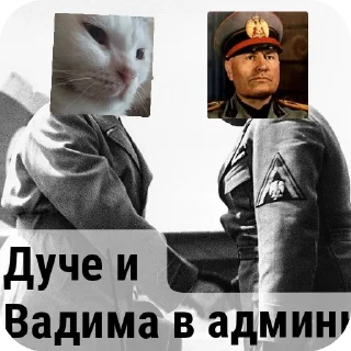 👍 emoji Дуче в админы Telegram sticker 9 of 13