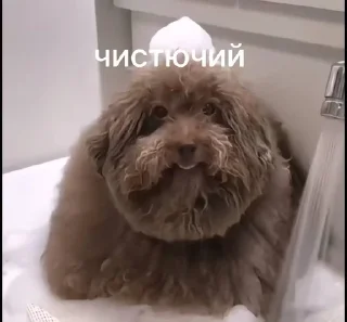 Sticker from Красивучи