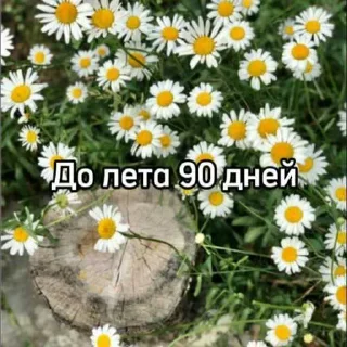☀️ emoji Больше стикеров тут: @stikery_emodzi_memy Telegram sticker 10 of 50
