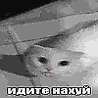 🤬 emoji Больше стиков тут: @stikery4 Telegram sticker 7 of 16