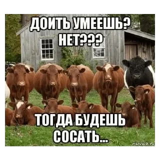 😈 emoji Больше стиков тут: @stikery4 Telegram sticker 5 of 16