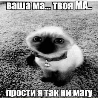 😌 emoji Больше стиков тут: @stikery4 Telegram sticker 9 of 16