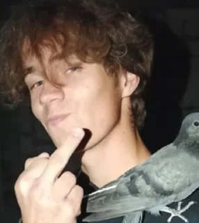 🖕 emoji хайпанем немножечко Telegram sticker 24 of 41