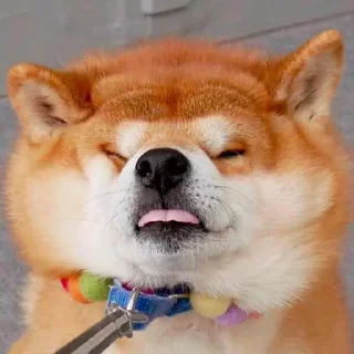 😞 emoji hahaha Telegram sticker 12 of 76