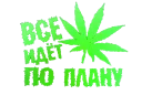 Sticker from PLAN