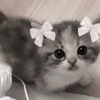 😄 emoji Копирки пупса🙄💗 Telegram sticker 6 of 8