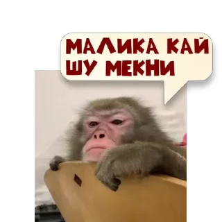💬 emoji 🎥ㅤ𝑼𝒎𝒆𝒅𝒋𝒂𝒏𝒕🐊 Telegram sticker 19 of 33