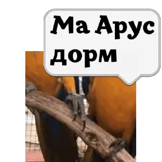 💬 emoji 🎥ㅤ𝑼𝒎𝒆𝒅𝒋𝒂𝒏𝒕🐊 Telegram sticker 8 of 33