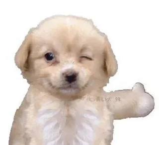 👍 emoji @sticksbb <— больше стиков💓💘💞 Telegram sticker 6 of 29